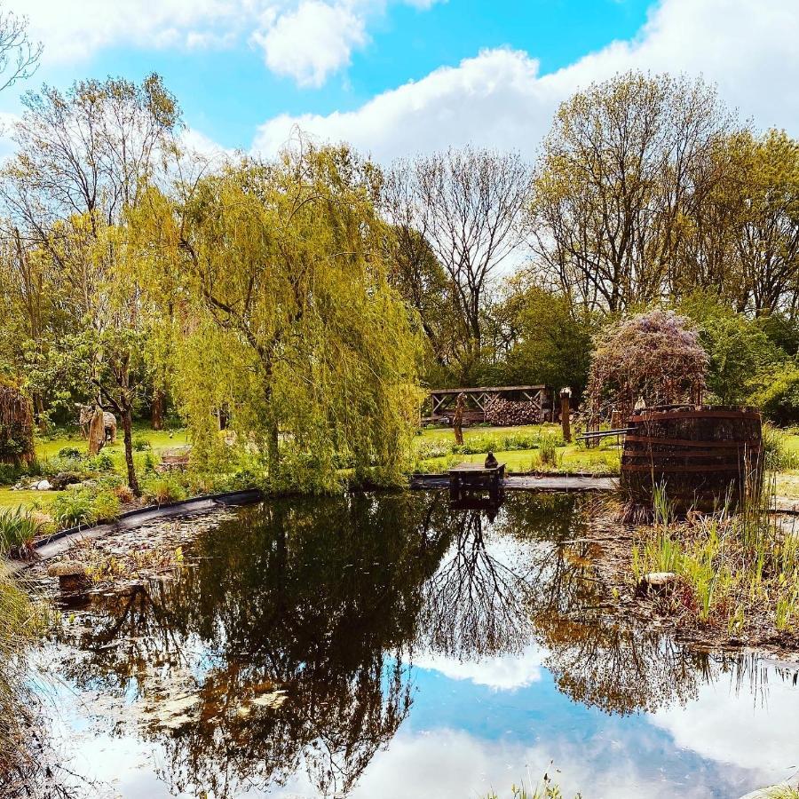 Reijgershof Bed & Breakfast Amsterdam Luaran gambar