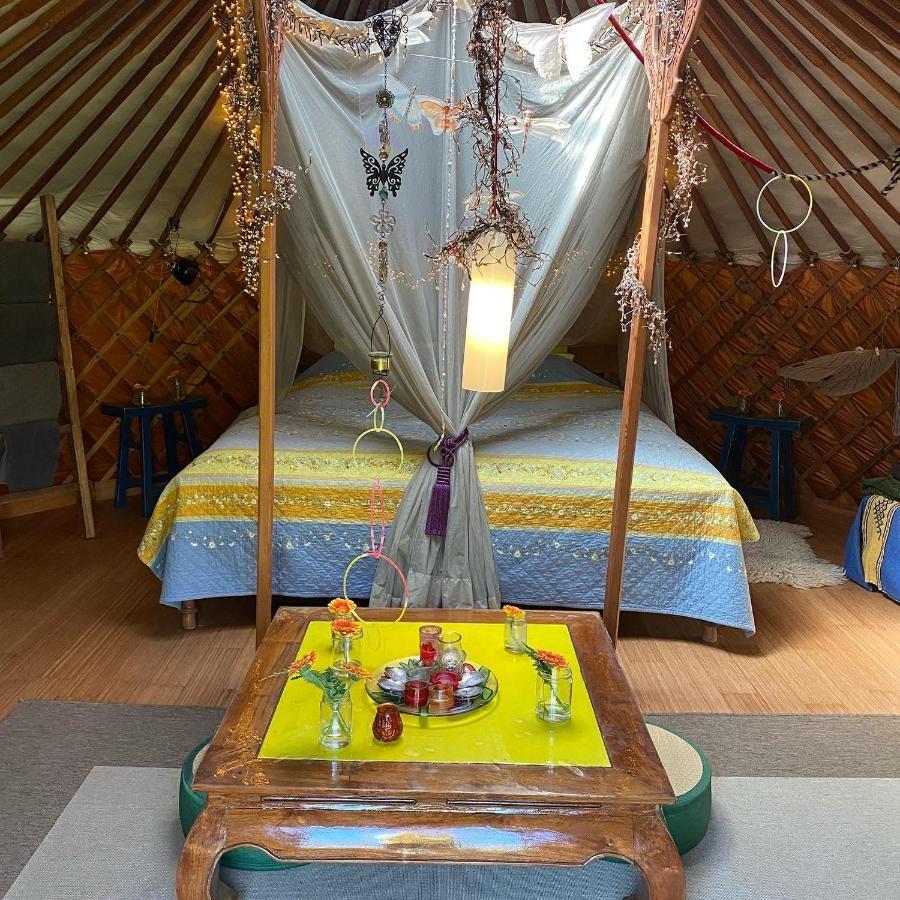 Reijgershof Bed & Breakfast Amsterdam Luaran gambar