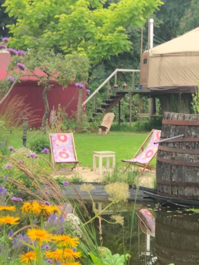 Reijgershof Bed & Breakfast Amsterdam Luaran gambar