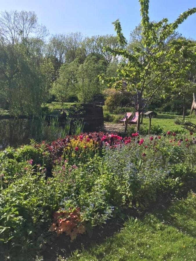 Reijgershof Bed & Breakfast Amsterdam Luaran gambar