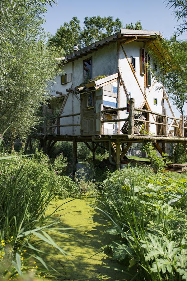 Reijgershof Bed & Breakfast Amsterdam Luaran gambar